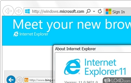 ie11 dl