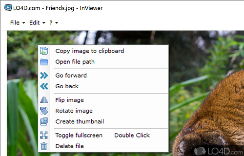 Play and pause slideshows, upload images to ImageShack and create thumbnails - Screenshot of InViewer