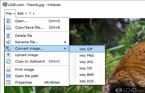 Viewer and converter for images - Screenshot of InViewer