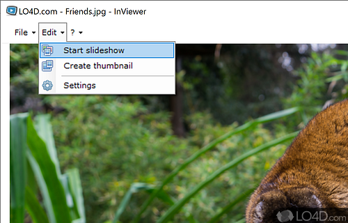 User interface - Screenshot of InViewer