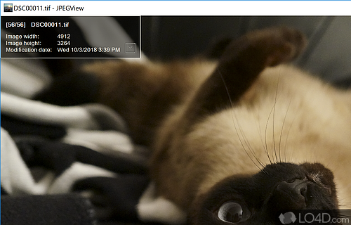 JPEGView Screenshot