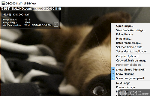 User interface - Screenshot of JPEGView
