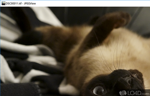JPEGView Screenshot