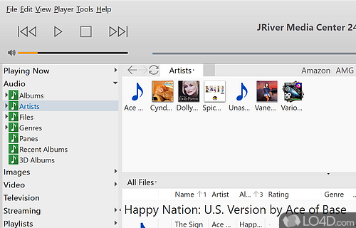 JRiver Media Center 31.0.23 download the last version for mac