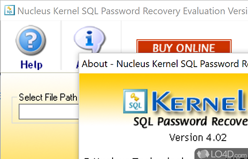 Kernel SQL Password Recovery Screenshot