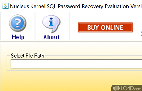 Kernel SQL Password Recovery Screenshot