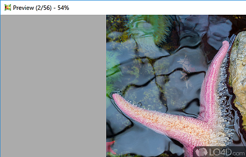 Feature-packed image editor - Screenshot of Light Image Resizer
