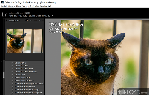 Basic options to tweak - Screenshot of Adobe Photoshop Lightroom Classic