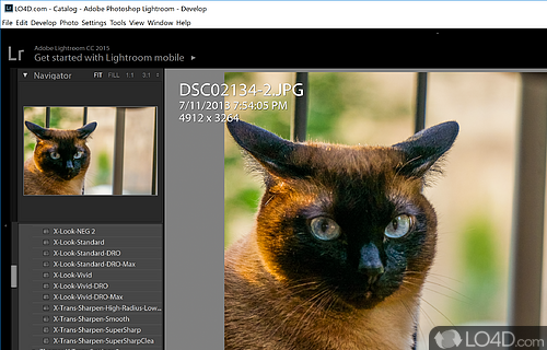 download adobe photoshop lightroom old version