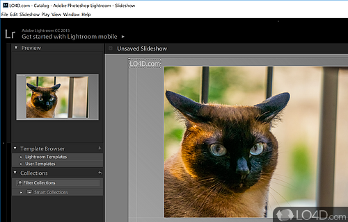 User-friendly environment - Screenshot of Adobe Photoshop Lightroom Classic