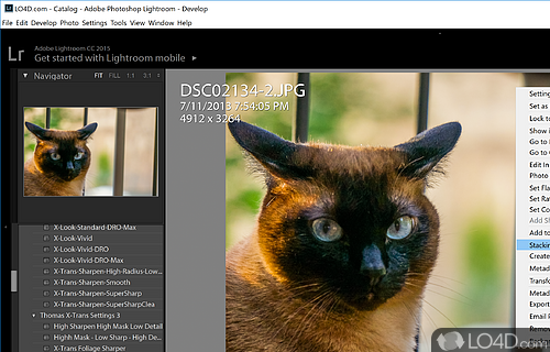 Adobe Photoshop Lightroom Classic CC 2024 v13.1.0.8 download