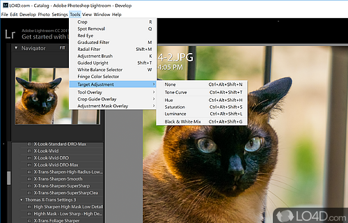 Photo editor and organizer for Windows users - Screenshot of Adobe Photoshop Lightroom Classic