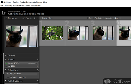 Main steps you can go through - Screenshot of Adobe Photoshop Lightroom Classic