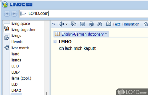 Translation and dictionary software - Screenshot of Lingoes