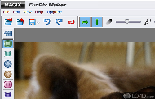 The easiest way to create fun caricatures - Screenshot of MAGIX FunPix Maker