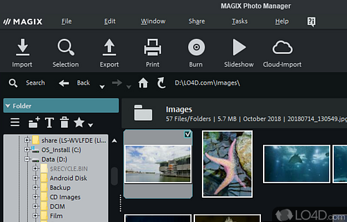 MAGIX Photo Manager Screenshot
