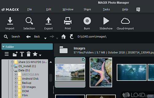 -to use and piece of software to display, restore, optimize or print digital photos - Screenshot of MAGIX Photo Manager