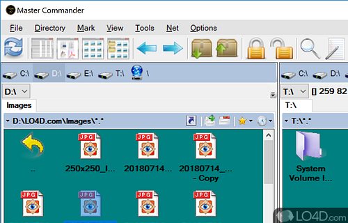 Orthodox file manager which comes bundled with many configurable options - Screenshot of Master Commander