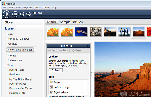 Screenshot of Media Go - To organize and manage multimedia files, while also being able to watch or play them