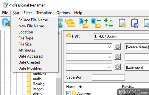 User interface - Screenshot of Professional Renamer