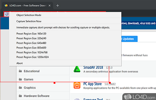 Multiple region size capture options - Screenshot of MiniCap