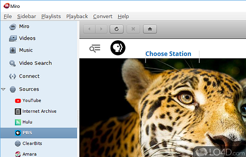 BitTorrent - Screenshot of Miro