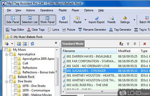 Screenshot of Mp3 Tag Assistant Professional - Using this software, easily edit the mp3 tags of music files