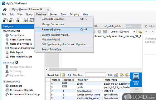 Data architect - Screenshot of MySQL Workbench