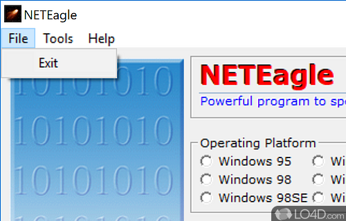 NetEagle Screenshot