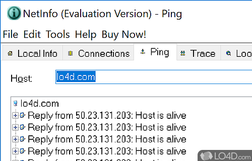 Send pings and monitor active connections - Screenshot of NetInfo