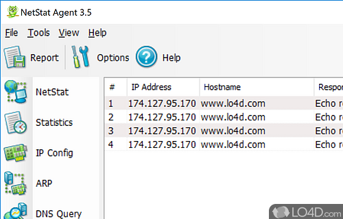 NetStat Agent screenshot