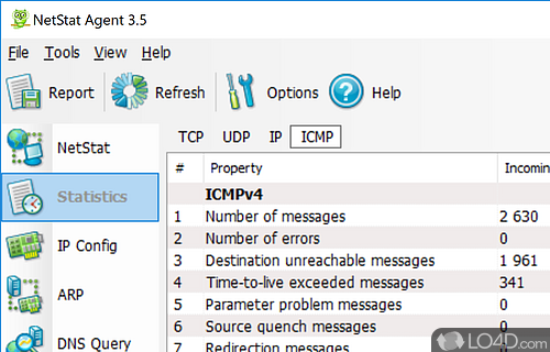 NetStat Agent Screenshot