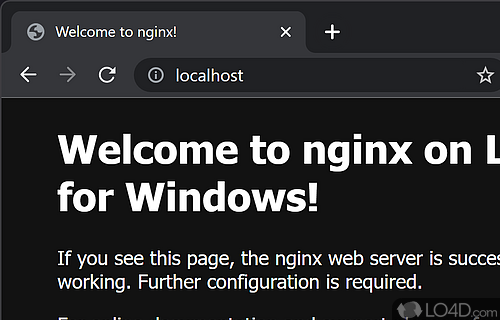 Nginx for Windows Screenshot