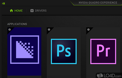 Enable the video card and customize it - Screenshot of Nvidia Quadro Experience