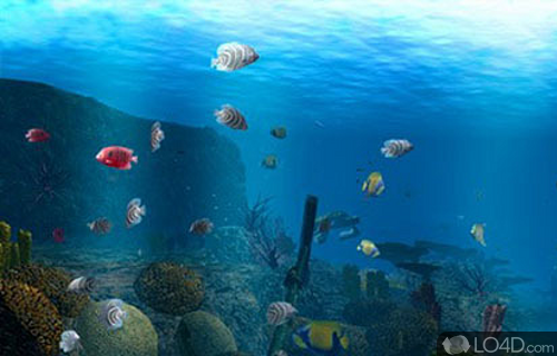 Screenshot of OceanDive - Unique combination of a 3D marine life screensaver