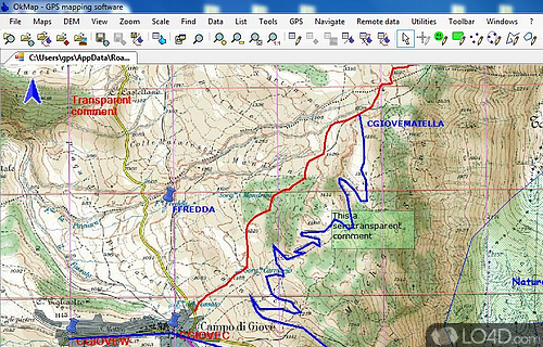 Screenshot of OkMap - Employs GPS collected data in a versatile environment