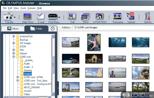 Digital photo tool that allows users to edit images by resizing - Screenshot of Olympus Master