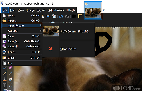 Structured GUI and creating file associations - Screenshot of Paint.NET