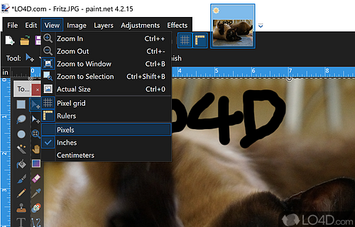 View and edit images. Add effects and filters - Screenshot of Paint.NET