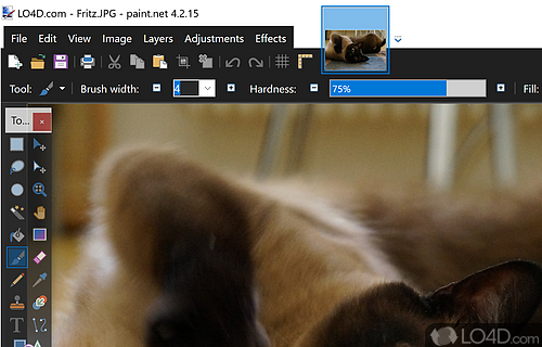 Packed with an array of options and an interface, this app can create professional-looking photographs - Screenshot of Paint.NET