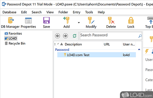 Customizable installation procedure - Screenshot of Password Depot