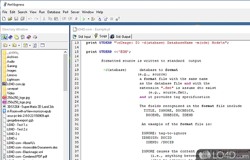User interface - Screenshot of Perl Express