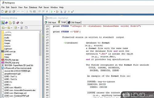 Perl Express Screenshot