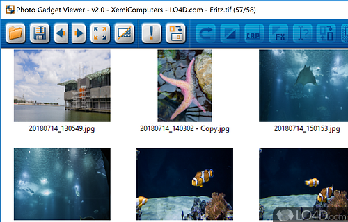 File load, and conversion options - Screenshot of Photo Gadget Viewer