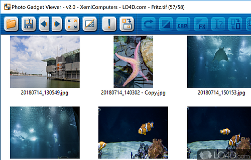 Photo Gadget Viewer Screenshot