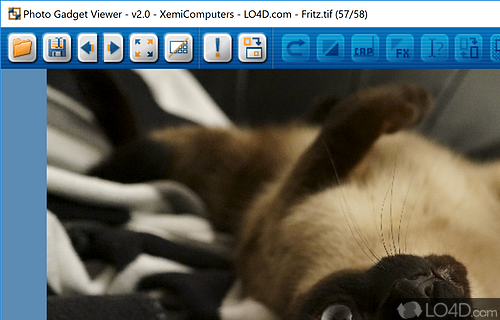 Photo Gadget Viewer Screenshot