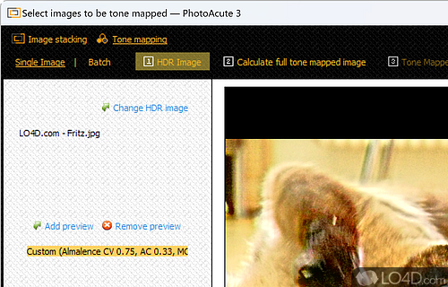 Preview options and camera parameters - Screenshot of PhotoAcute Studio