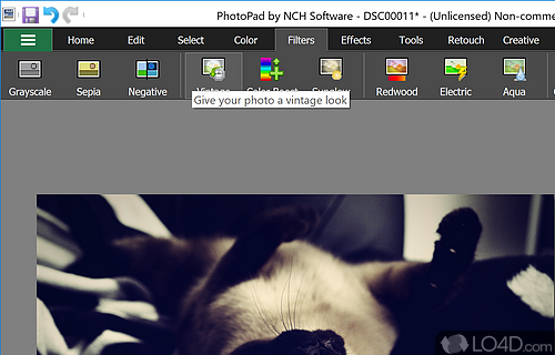 Advanced editor for beginners - Screenshot of PhotoPad Free