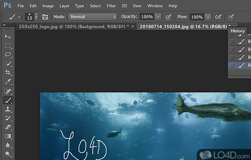 Gets rid of any slowness - Screenshot of Adobe Photoshop CS6