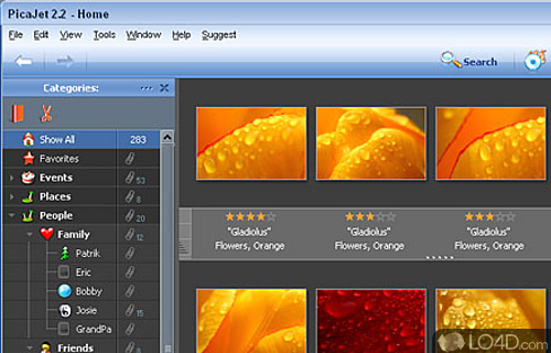 Screenshot of PicaJet Photo Organizer - Organize digital image collection effectively, batch resize, rename, convert files